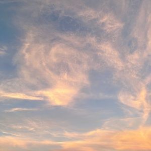 Meet your Posher, Ali